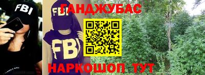 крисы Рязань