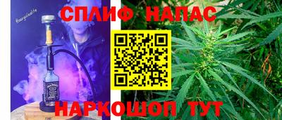гашик Пугачёв