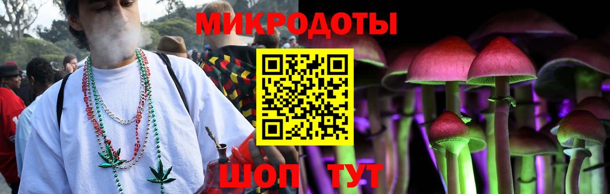 Галлюциногенные грибы Psilocybe Псков